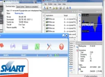 Smart - sun.webp