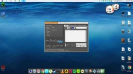 dsadas.webp