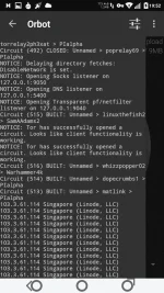 4.webp