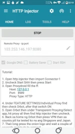 8.webp