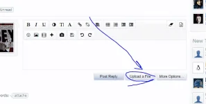 Capture.webp