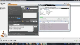 wow.webp