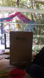IMAG0247.webp