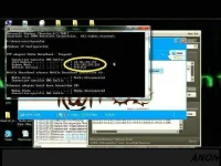 My Snapshot29.webp