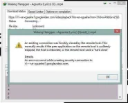 IDM1.webp