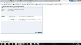 Websense.webp