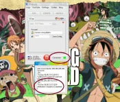 6.webp