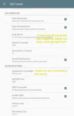ssh tunnel.webp