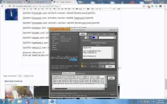 Capture.webp