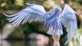 images (32).webp