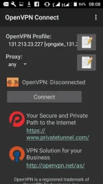 3.webp