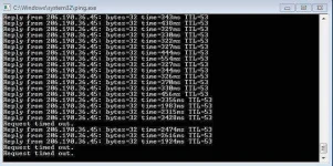 3.webp