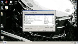 1.webp