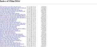 ss5.webp