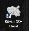 BitVise.webp
