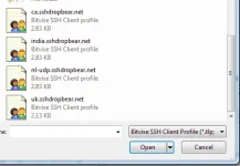 BvProfile.webp