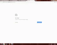 Untitled.webp