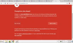 sample.webp