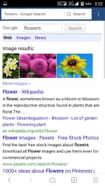 16402117_1100613883398102_1522918532_n.webp