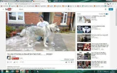 Untitled.webp