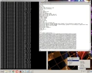 MGC.webp