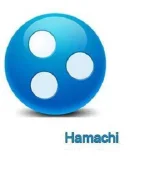 Hamachi.webp