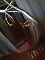 IMG20170204070720.webp