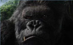 king-kong-003.webp