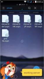 TMPDOODLE1487117092047.webp