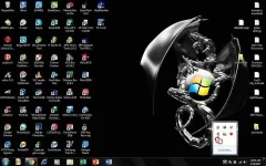 capture3.webp