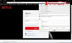 1.webp