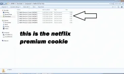 3.webp