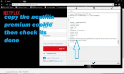 4.webp 4.webp