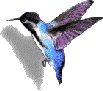 animated-bird-image-0086.gif