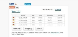 FireShot Capture 100 - Online Free Proxy Checker - http___www.proxy-checker.org_result.php.webp