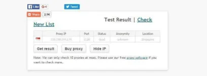 FireShot Capture 102 - Online Free Proxy Checker - http___www.proxy-checker.org_result.php.webp