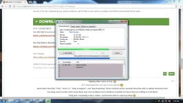 asdf.webp