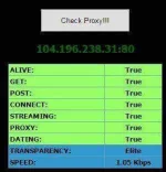 14.webp