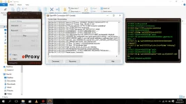 Certificate Error.webp