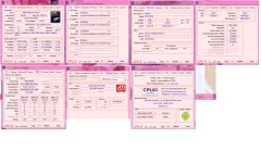 dfasdfasdf.webp