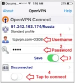 10.webp