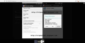 autoproxylite.webp