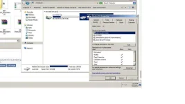 4.webp