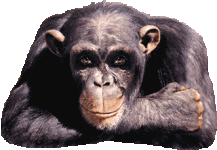 graphics-ok-302810.gif graphics-ok-302810.gif