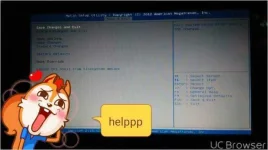 TMPDOODLE1489674882842.webp