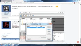 4.webp