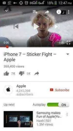 17426175_122353218299253_2938579387538067436_n.webp