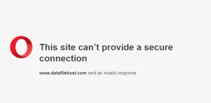 Capture.webp