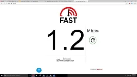1.2.webp