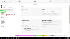 first (2).webp